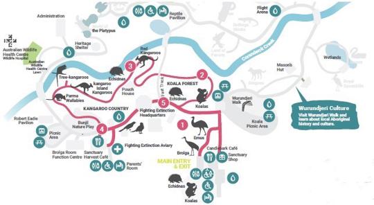 Healesville Sanctuary Adventure Map: Kangaroo Country and Koala Forest paths shown in mystic red.