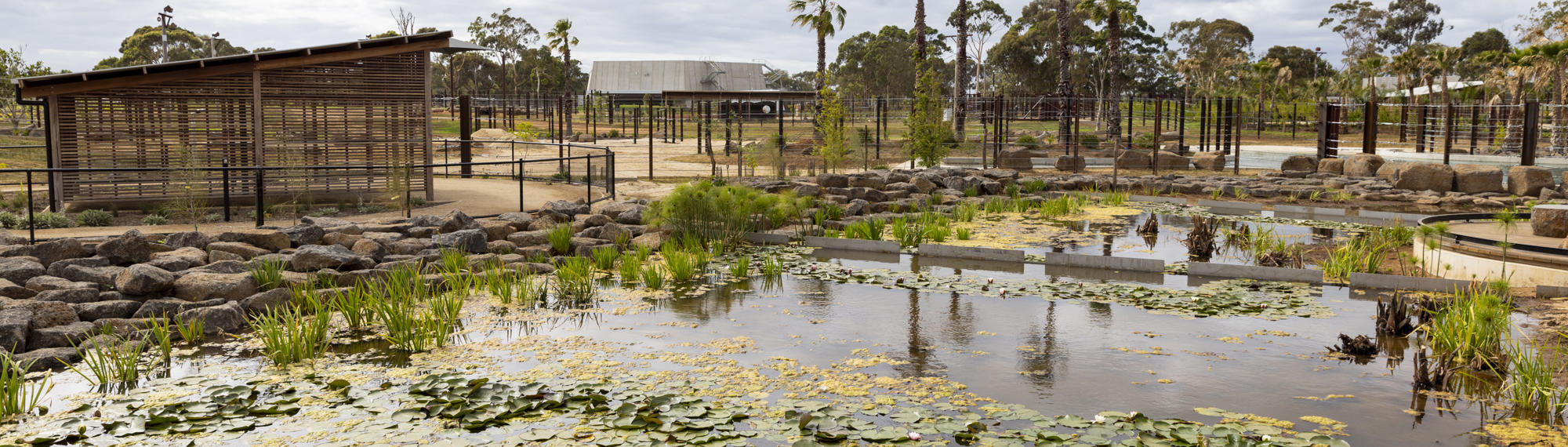 A view of the new Elephant Trail, towards the Elephant Barn, beneath an overcast sky.