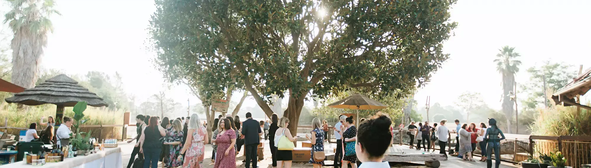 A crowd of people standing under a tree, milling around in small groups, on a misty morning.
