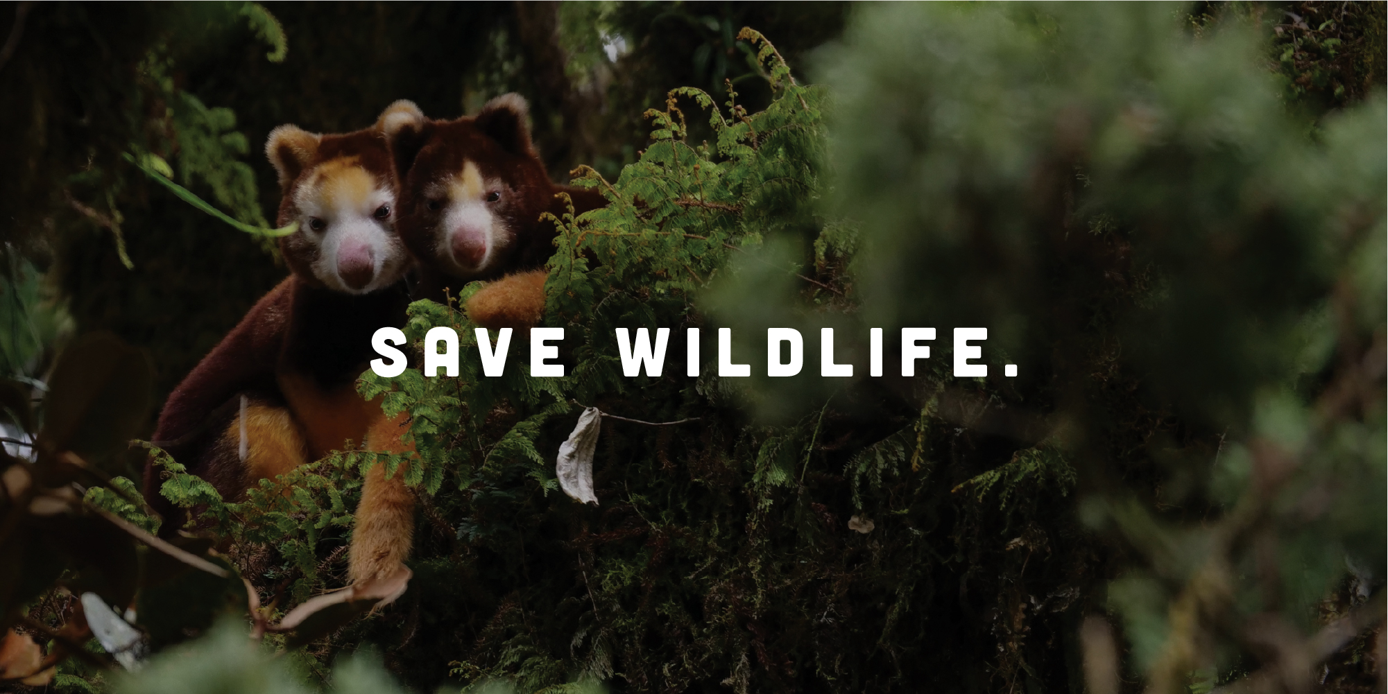 "Save Wildlife" - Two Tree Kangaroos sit side-by-side in a bush behind the slogan.