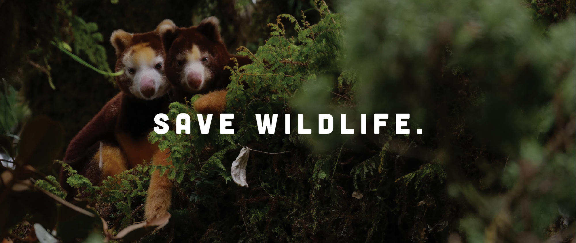 "Save Wildlife" - Two Tree Kangaroos sit side-by-side in a bush behind the slogan.