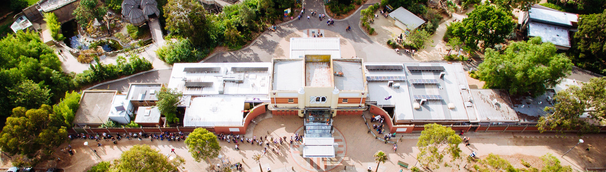A birds eye view of the Main Gate entrance at Melbourne Zoo. There are people lining up to enter the zoo. 