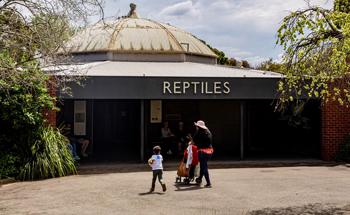 Visitors walking towards Reptiles House