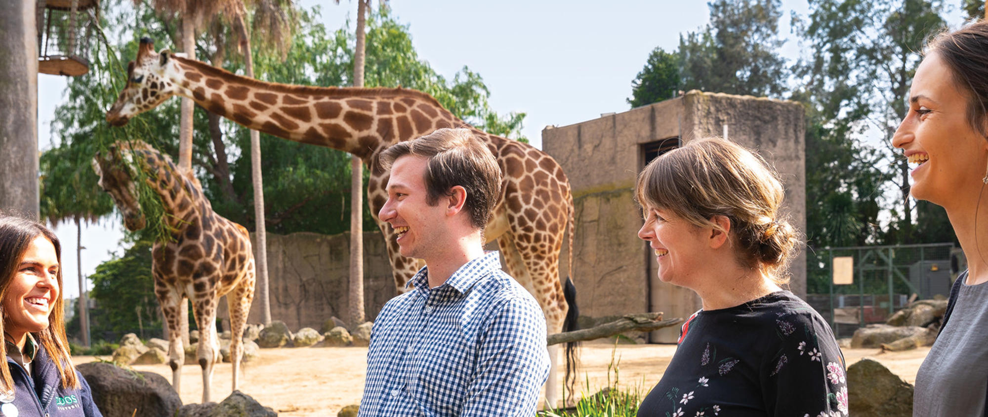 A group of three adults stand alongside a Zoo employee dressed in Zoo uniform stand in front of two giraffes smiling. 