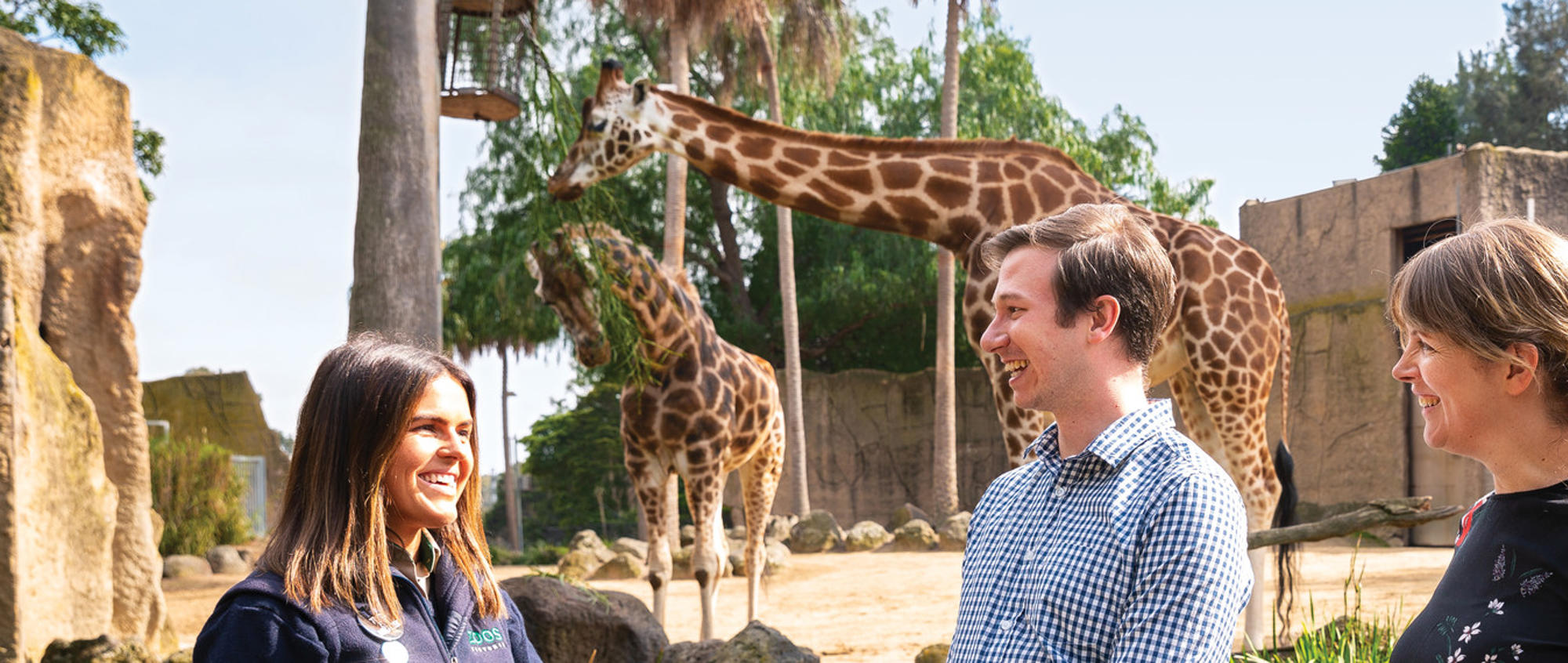 A group of three adults stand alongside a Zoo employee dressed in Zoo uniform, all smiling in front of two Giraffes.