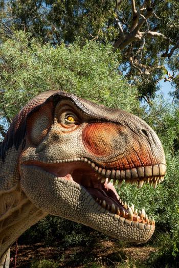 Close up of T-rex's face