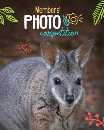 A photo of kangaroo with Members' photo competition texts