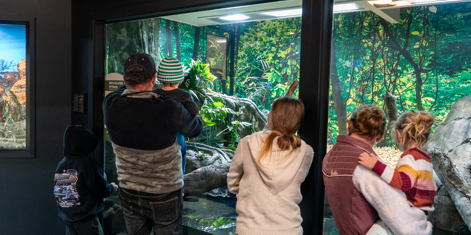 Six guests look inside the Reticulated Python's terrarium in the Reptile House.