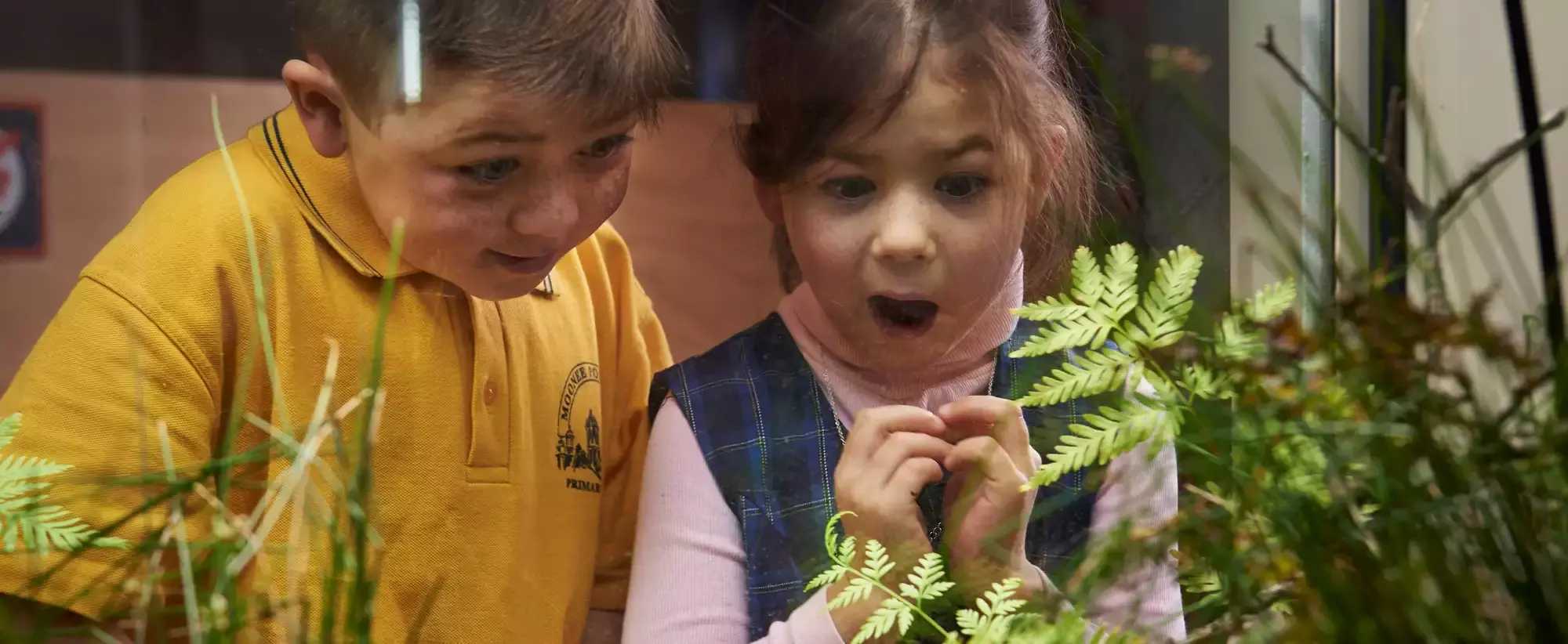 Two young students look excitedly into a tank that houses Corroboree Frogs.