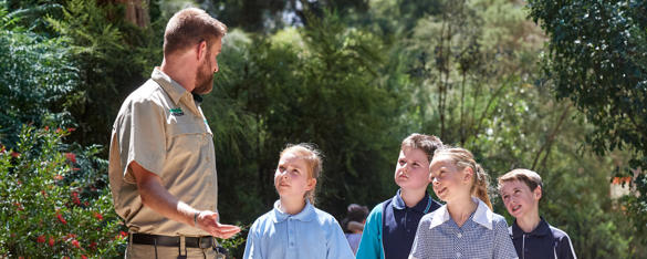 A zoo staff member walks through the bush with his arm outstretched on a sunny day with some young students who look up at him.