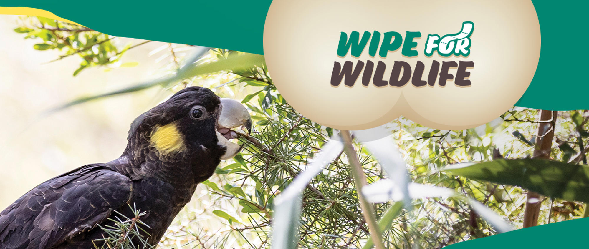 "Wipe For Wildlife": A Yellow-tailed Black-Cockatoo eating on a branch is to the left of the logo.