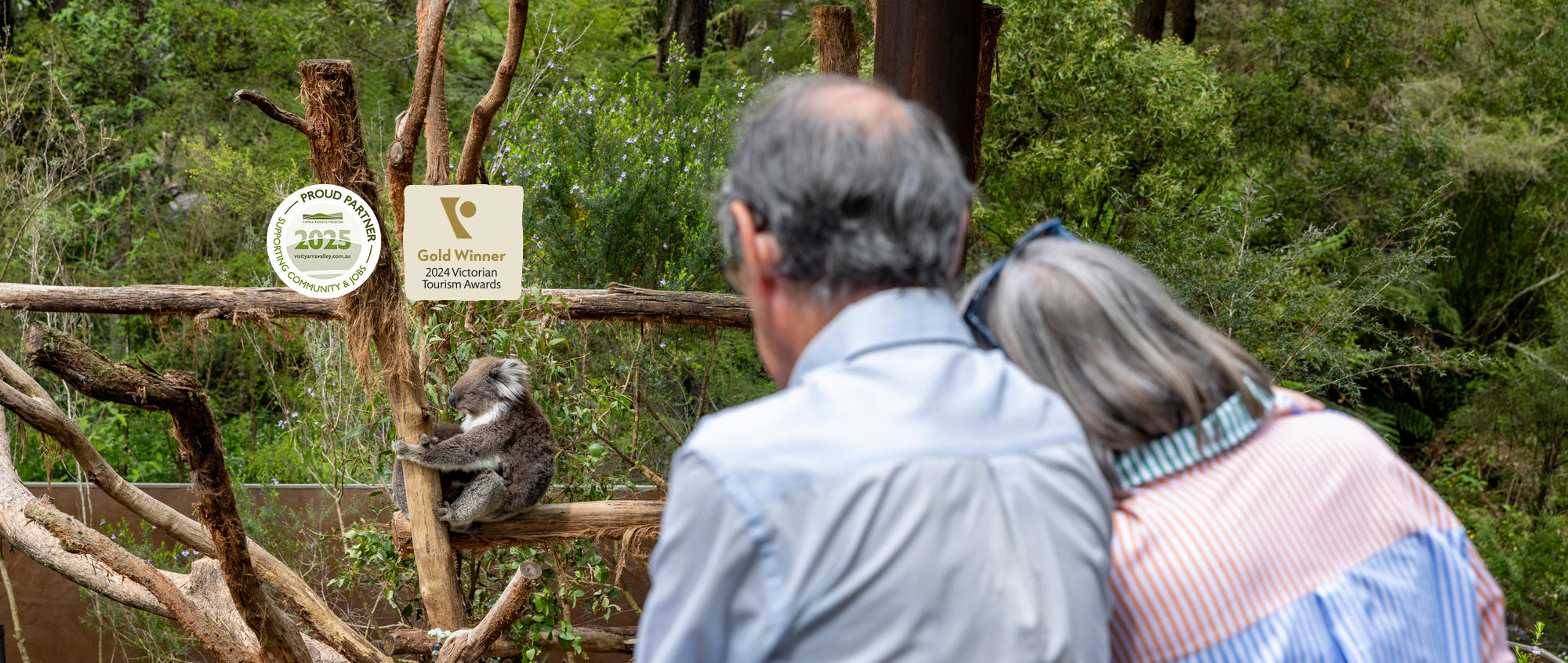 "Proud Partner, Yarra Ranges Tourism, Two-thousand Twenty-five"; "Gold Winner, Two-thousand Twenty-four Victorian Tourism Awards" - Two guests (facing away from the camera and in embrace) watch a Koala perched on a bare tree, facing left.