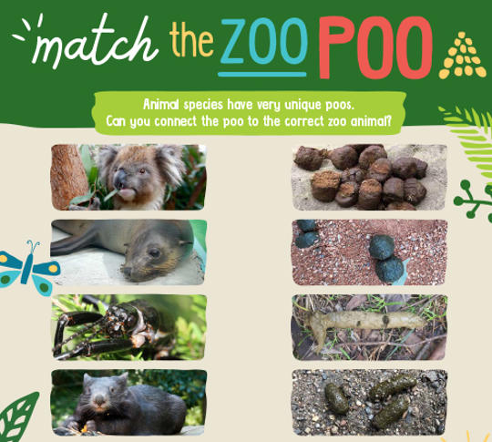 "Match the Zoo Poo" - text with different images of animals and their excrements.