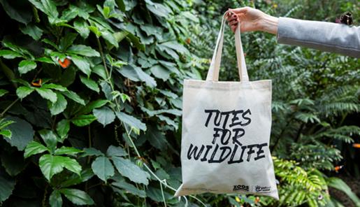 A Totes For Wildlife bag, being held up by a right arm, in front of trees inside the Butterfly House.