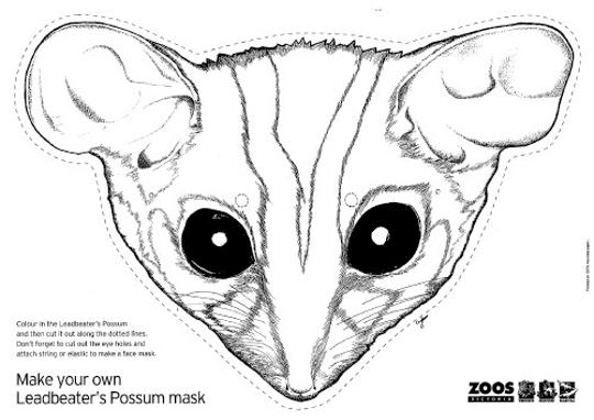 Leadbeater's Possum cut-out face mask.