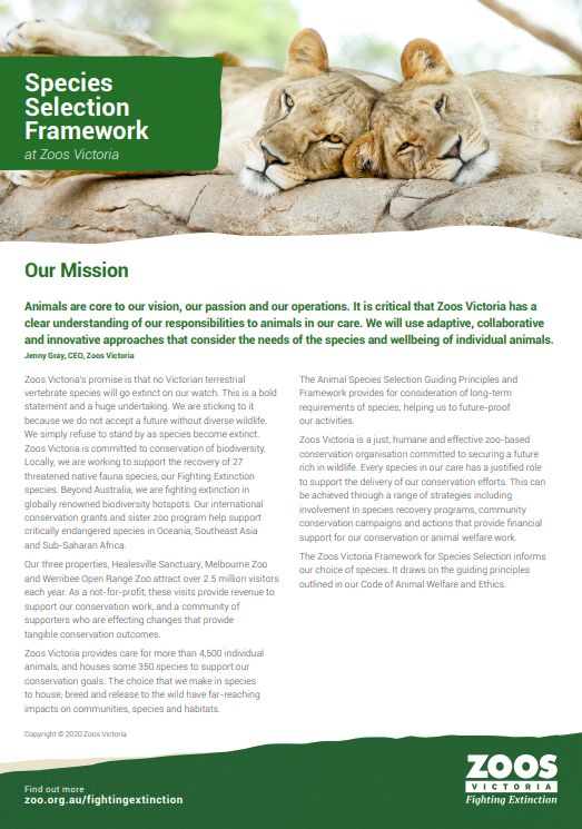 "Species Selection Framework of Zoos Victoria" - featuring two Lion cubs.