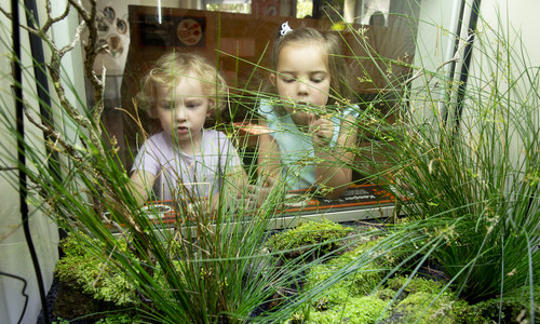 Two young guests look for Southern Corroboree Frogs in their Growing Wild enclosure.
