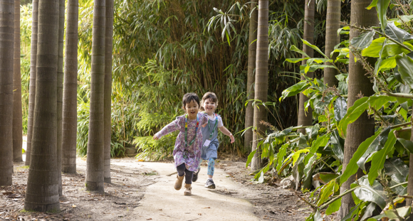 Two children with lanyards running through the Bamboo Forest, toward the camera.