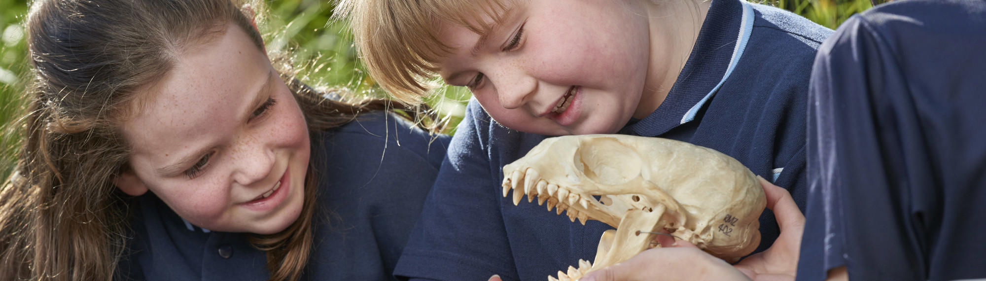 Two students in navy school uniform look at a small animal skull.