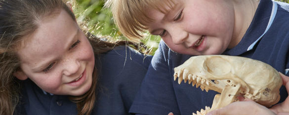 Two students in navy school uniform look at a small animal skull.