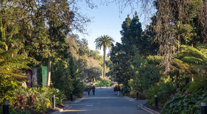 Zoos Victoria