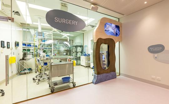 Surgery Room of the Australian Wildlife Health Centre, seen from behind a glass window.