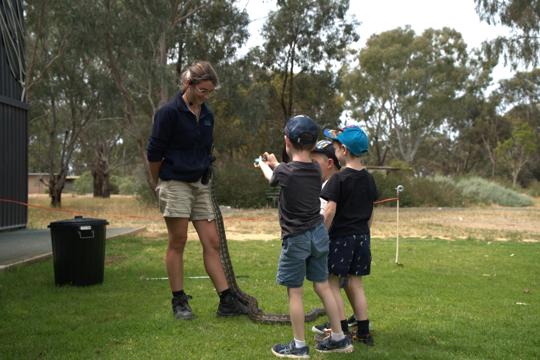 Keeper and three young guests hold up a Python, during a Wild Weekender encounter.