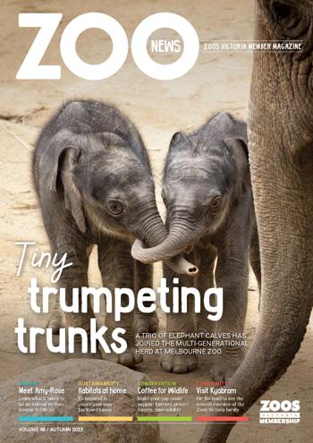 Cover of Zoo News 2023 autumn