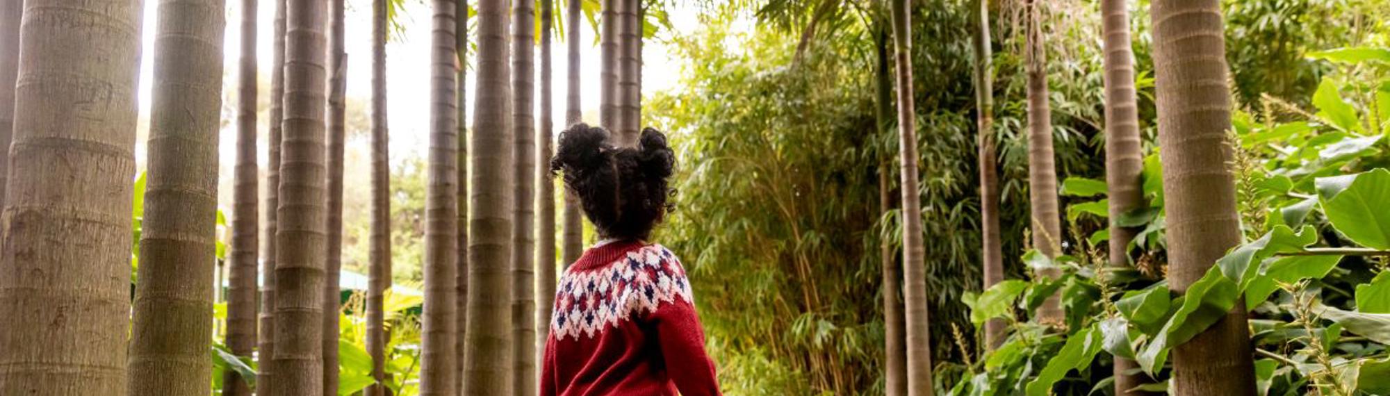 A young guest stands in the Bamboo Forest, with her back turned to the camera.