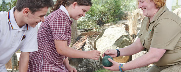 Two secondary students smile as a zoos staff member shows them a small sphere-shaped enrichment device