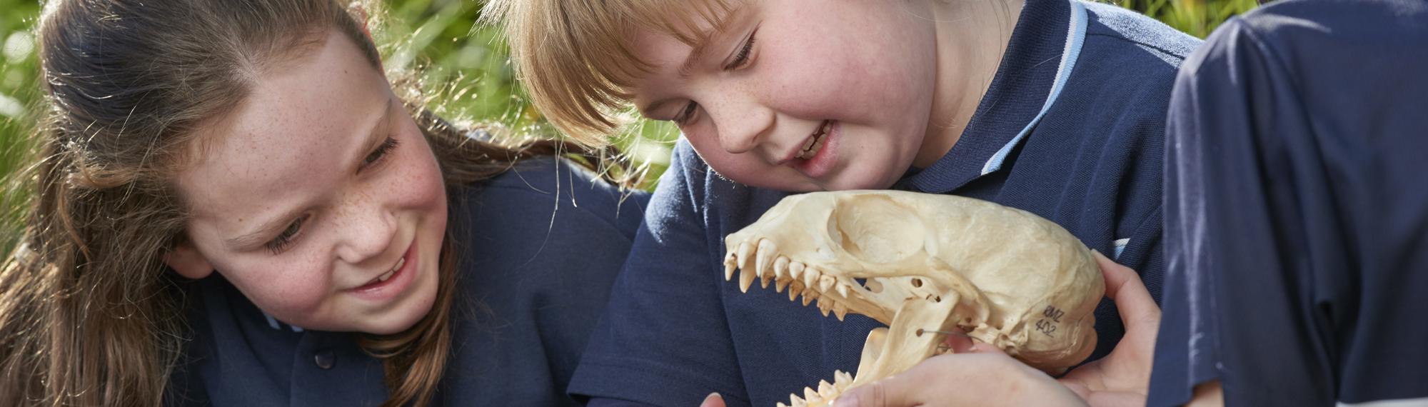 At least three students in navy school uniform examine a small mammal skull.