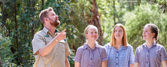 A zoo staff member points up into the bushland while talking to three school students, dressed in school uniforms