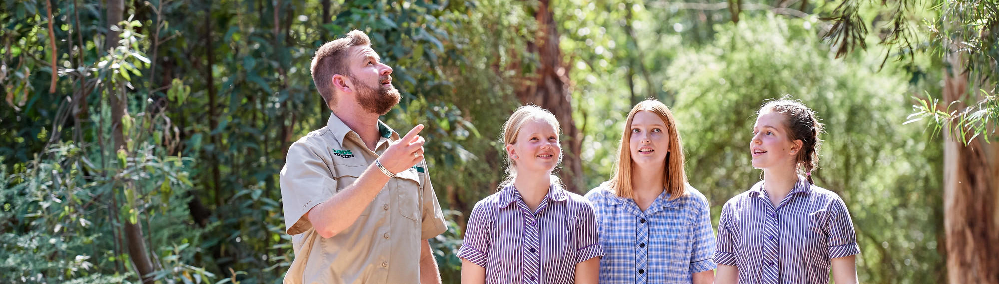 A zoo staff member points up into the bushland while talking to three school students, dressed in school uniforms