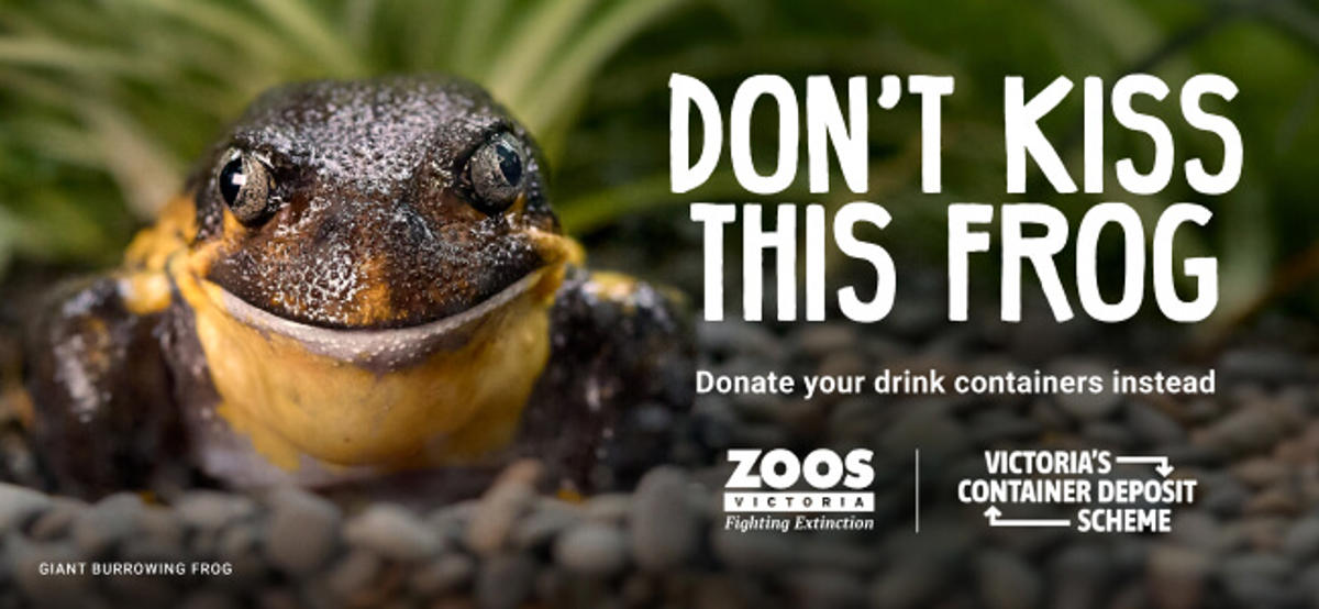 "Don't kiss this Frog, donate your drink containers instead" - This white text is to the right, a Giant Burrowing Frog facing the camera is to the left.