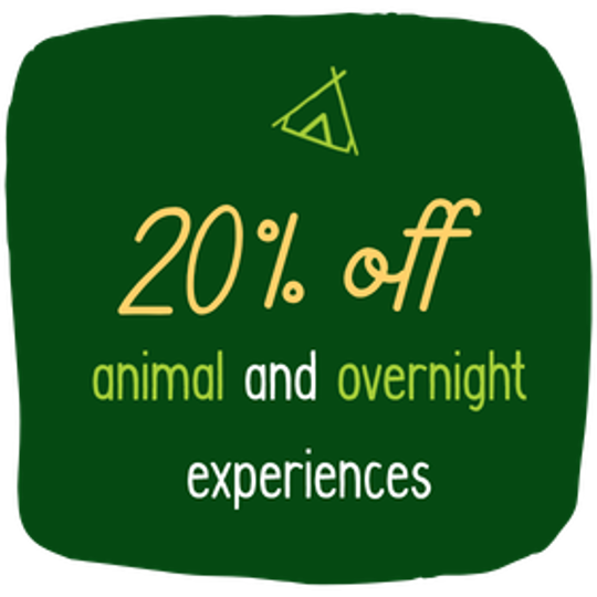"Twenty per cent off Animal and Overnight experiences" - this text is on a deep green background.