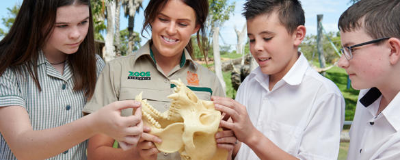A group of students in school uniforms with a zoo staff member examine an animal skull 