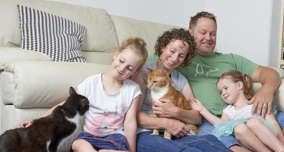 A family of four sitting in front of a couch patting two cats and smiling