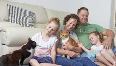A family of four sitting in front of a couch, petting two cats and all smiling.
