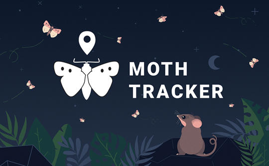 "Moth Tracker" - illustration of a Mountain Pygmy-Possum watching nine Moths flutter by at night, with the campaign logo in the centre..