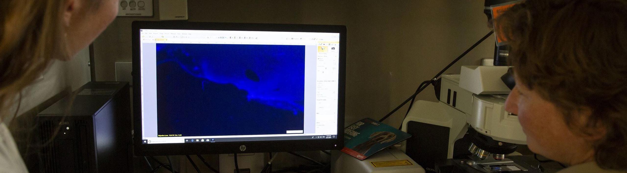 Two women looking at a computer screen displaying a blue object.