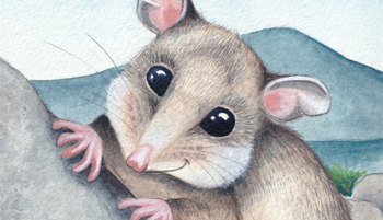 Illustration of Pippa, the Mountain Pygmy-Possum, smiling as she sits on a mountain rock.