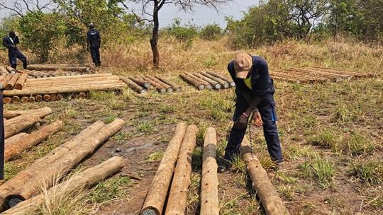 Worker drilling holes into new fence posts, with another two in the left background.