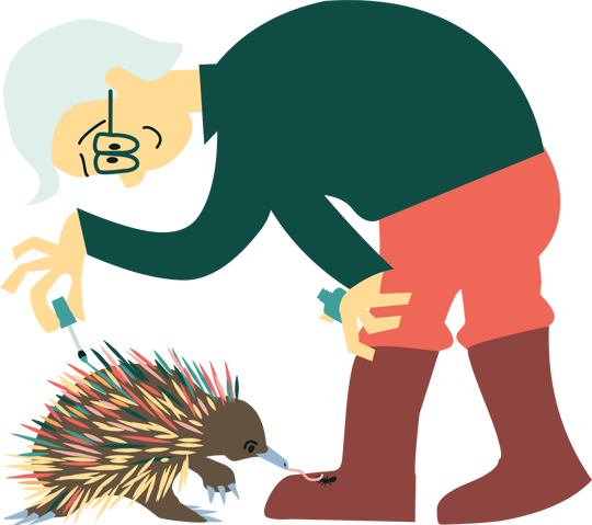 A science activity character for National Science Week 2026, tending to an echidna.