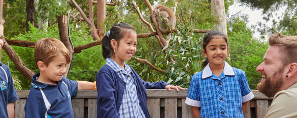 Four young school students in uniform smile at a zoo staff member who is crouched down in front of a koala exhibit