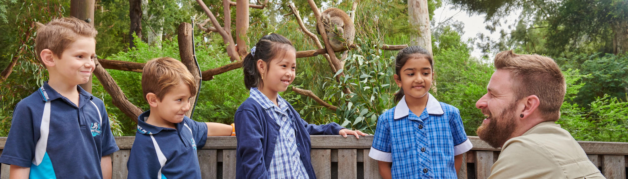 Four young school students in uniform smile at a zoo staff member who is crouched down in front of a koala exhibit