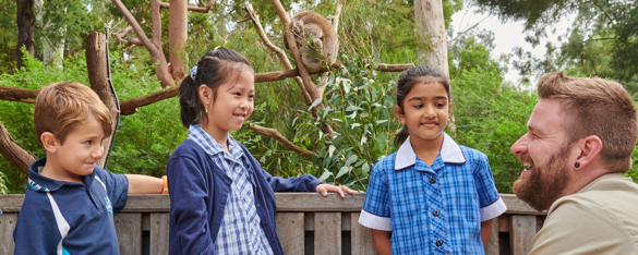 Four young school students in uniform smile while while listening to a Zoo staff member, who is crouched down in front of a Koala in a tree.