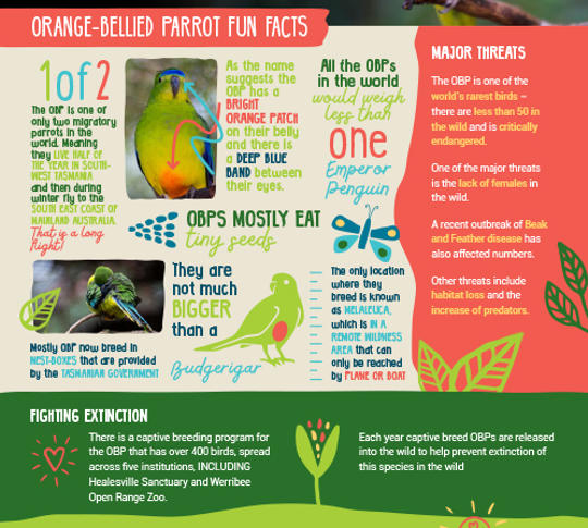 Orange-bellied Parrot fun facts.