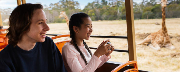 Two teens smile as they sit on a safari bus as the pass a giraffe who is sitting on the grass of the savannah