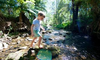 A boy walking across the creek at Healesville Sanctuary
