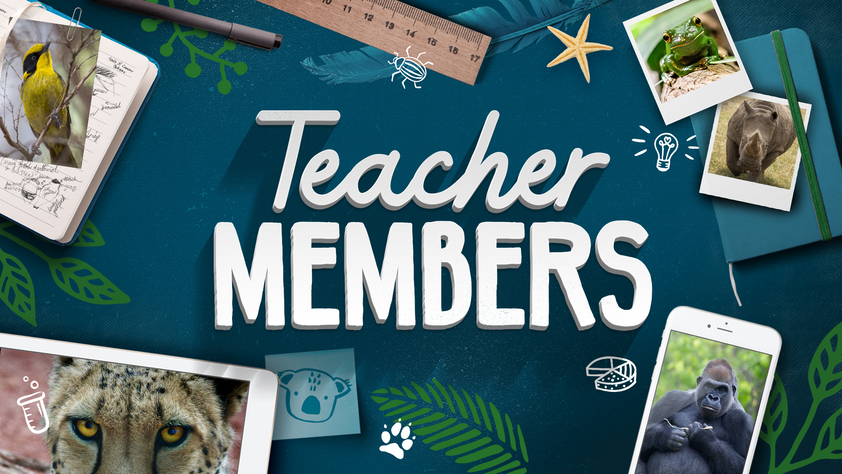 Teacher membership